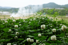 明日香村 大字檜前 明日香村 大字檜前