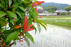 明日香村　大字奥山