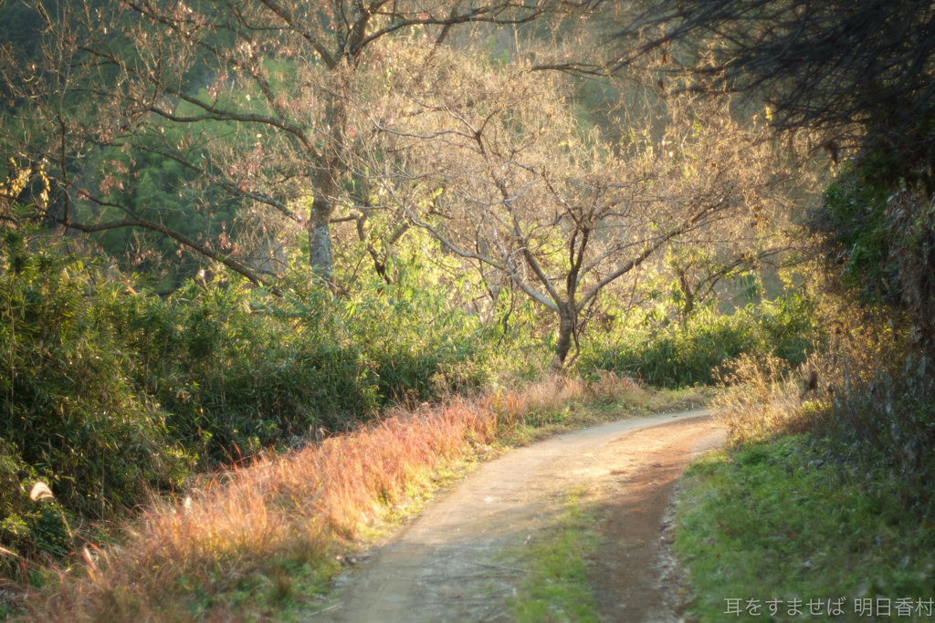明日香村　大字稲渕