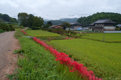 明日香村　大字平田