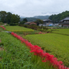明日香村　大字平田
