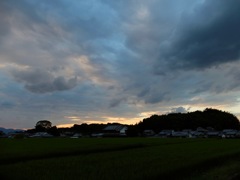 明日香村 大字橘 明日香村 大字橘