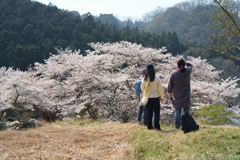 明日香村 大字稲渕 明日香村 大字稲渕