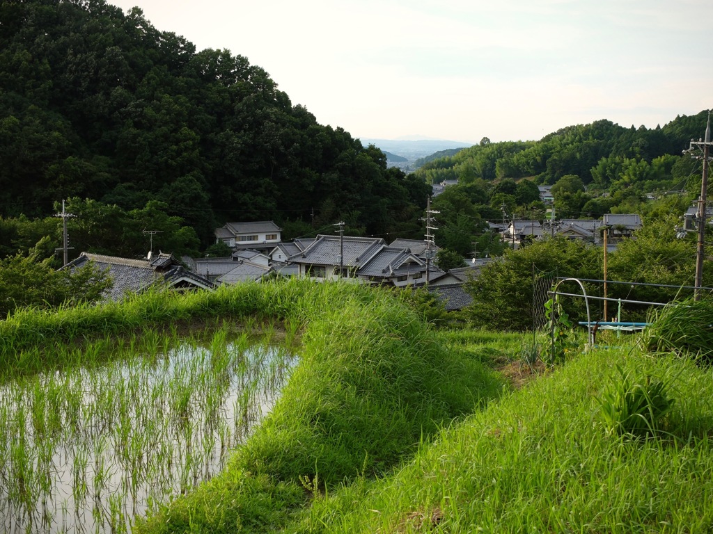 明日香村 阪田