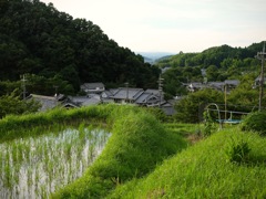 明日香村 阪田