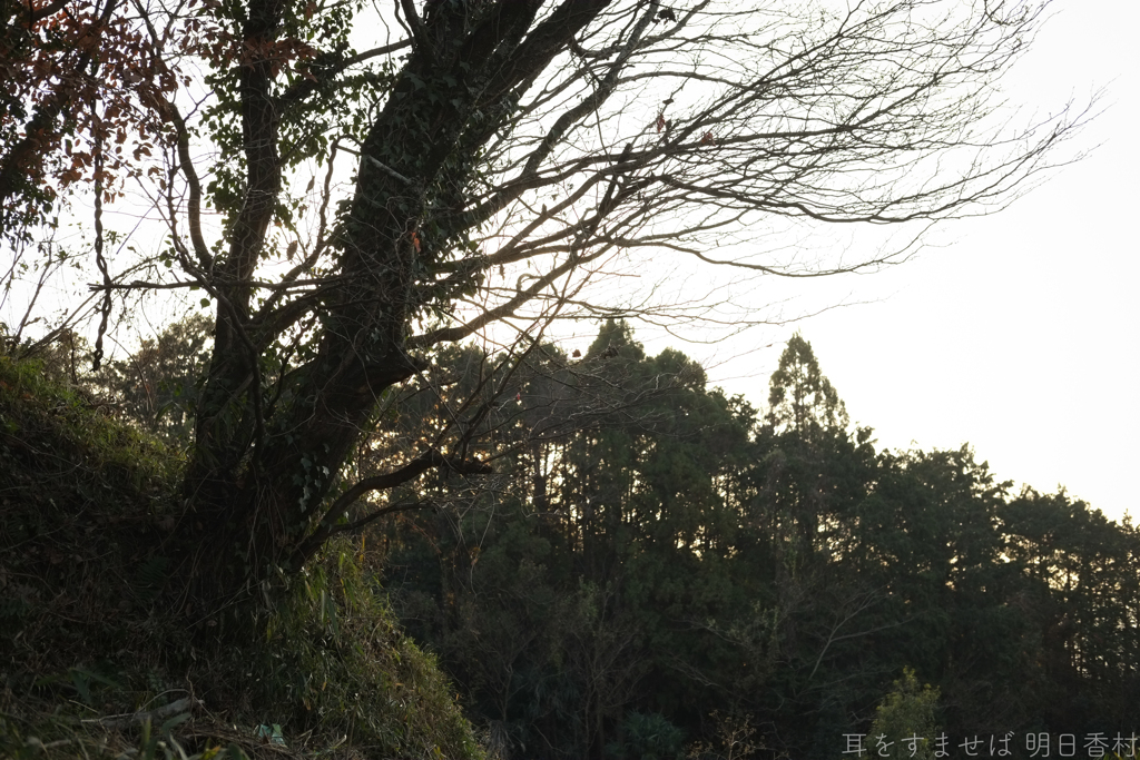 明日香村　大字豊浦