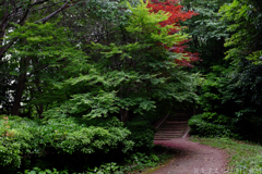 明日香村　大字豊浦（ 国営飛鳥歴史公園　甘樫丘地区 ）
