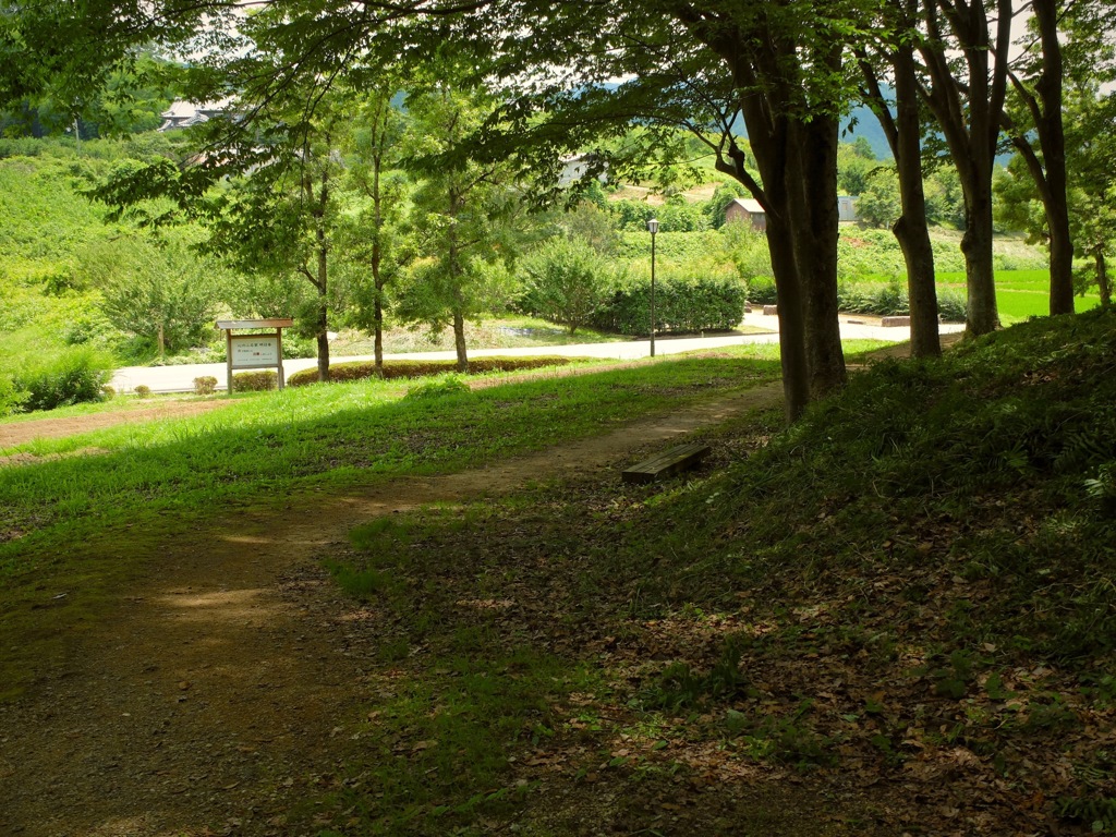 明日香村 豊浦 （ 甘樫丘 ）