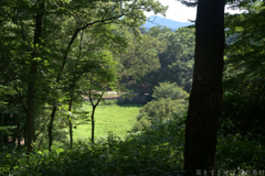 明日香村 大字平田( 国営飛鳥歴史公園 高松塚周辺地区 ) 明日香村 大字平田( 国営飛鳥歴史公園 高松塚周辺地区 )