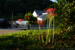 明日香村　大字祝戸