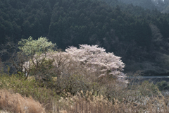 明日香村 大字稲渕 明日香村 大字稲渕