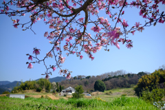 明日香村 大字豊浦 明日香村 大字豊浦