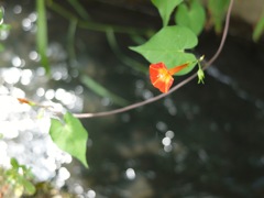 明日香村 大字御園 明日香村 大字御園