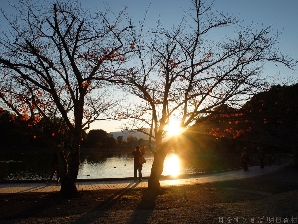 奈良県橿原市　橿原神宮