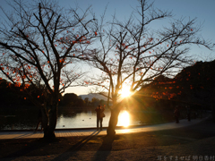 奈良県橿原市　橿原神宮