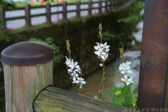 明日香村 大字越 明日香村 大字越