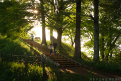 明日香村 大字豊浦 明日香村 大字豊浦