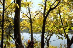 明日香村　大字豊浦