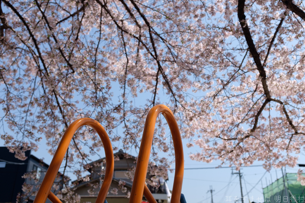 橿原市菖蒲町