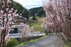 明日香村　大字立部