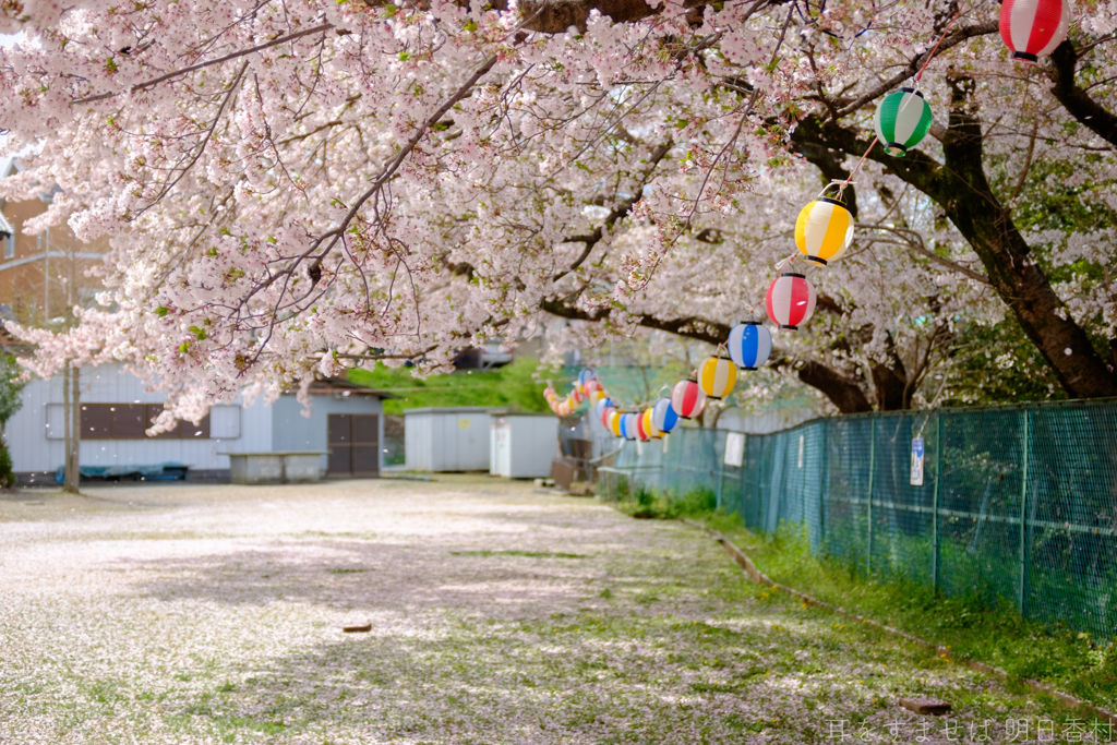 橿原市　菖蒲町
