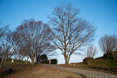 明日香村　大字平田（ 国営飛鳥歴史公園　高松塚周辺地区 ）