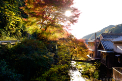 奈良県桜井市　長谷寺参道