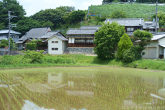 明日香村　大字平田