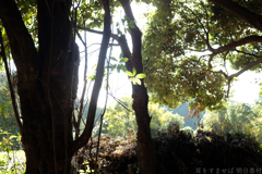 明日香村　大字檜前