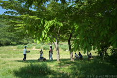 明日香村　大字島庄