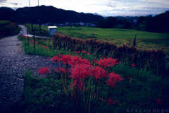 明日香村　大字阪田