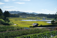 明日香村　大字平田