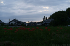 明日香村　大字川原