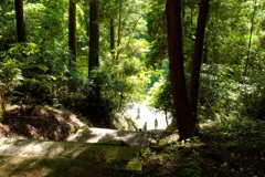 明日香村 大字稲渕 飛鳥川上坐宇須多伎比売命神社 明日香村 大字稲渕 飛鳥川上坐宇須多伎比売命神社