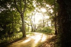 明日香村 大字豊浦( 甘樫丘 ) 明日香村 大字豊浦( 甘樫丘 )