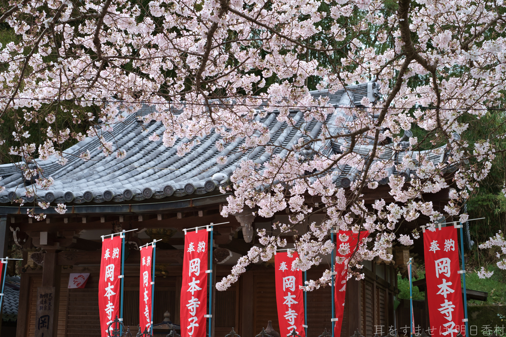明日香村　大字岡