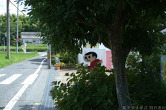橿原市　膳夫町