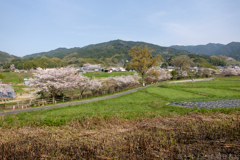 明日香村大字川原