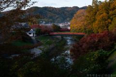 奈良県生駒郡斑鳩町　竜田川沿いの紅葉