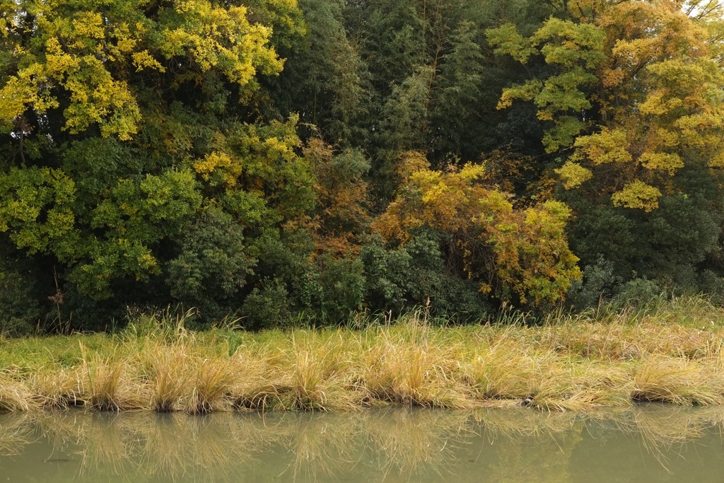 明日香村 大字御園