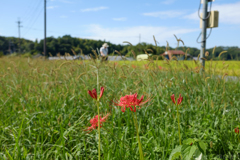 明日香村　大字岡