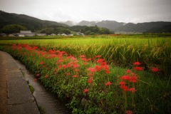明日香村　大字岡