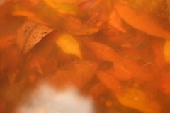 明日香村 大字檜前( 檜前寺跡 ) 明日香村 大字檜前( 檜前寺跡 )