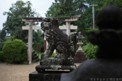 明日香村　大字檜前（ 檜隈寺跡 ）