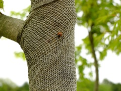 明日香村 大字阿部山 明日香村 大字阿部山