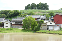 明日香村　大字平田