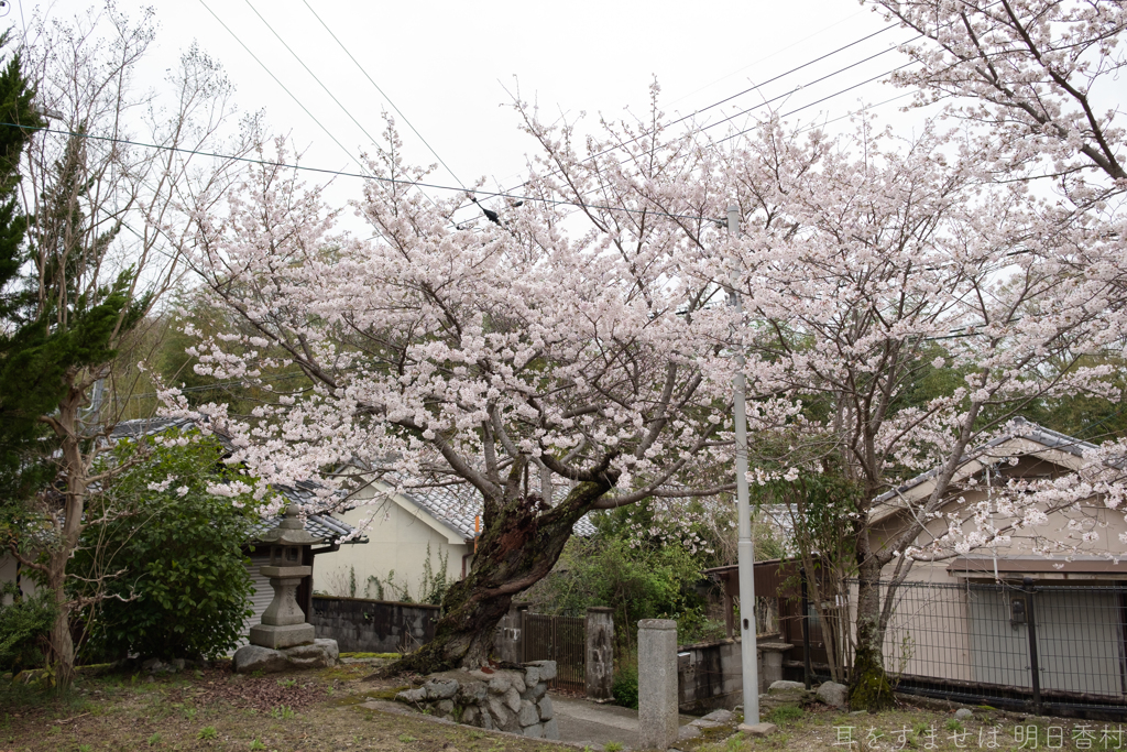 御所市 鳥井戸　妙相寺