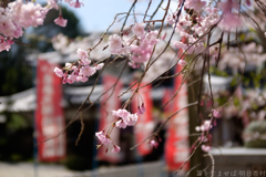 明日香村 大字岡 明日香村 大字岡