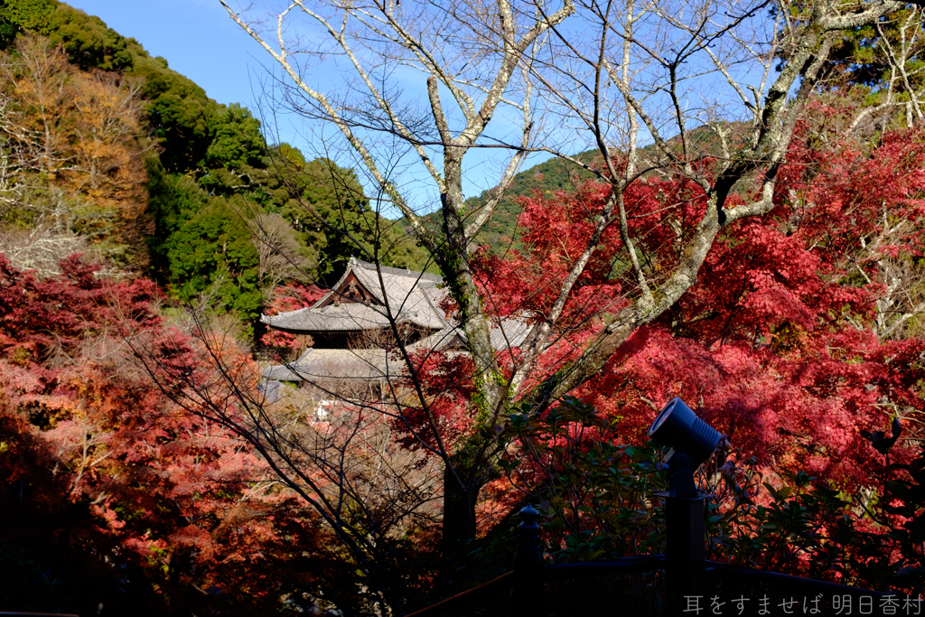 奈良県桜井市　長谷寺