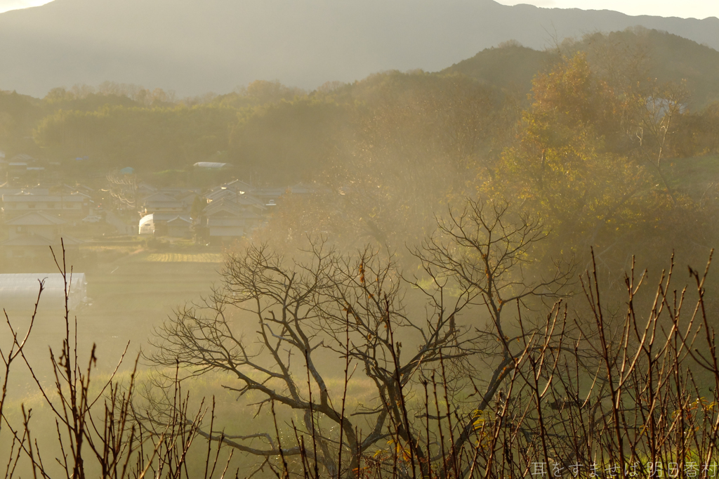 明日香村　大字野口